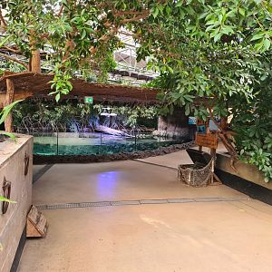 Oceanium - View back to Caribbean aquariums