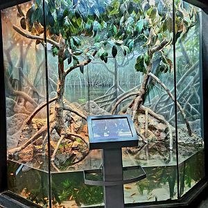 MOLA - Utila Island Exhibit