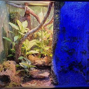 MOLA - Haitian Exhibit