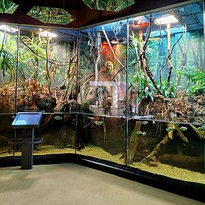 MOLA - Asian Flooded Forest Exhibit