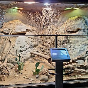 MOLA - San Esteban Island Exhibit