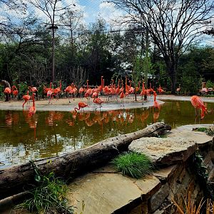 Entrance Walk-Through Aviary