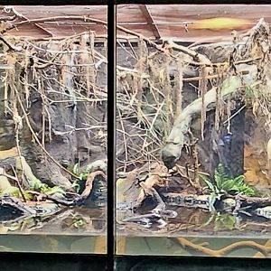 Reptilandia Reptile Lagoon - American Southeast Exhibit