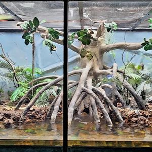 Reptilandia Reptile Lagoon - South Florida Exhibit