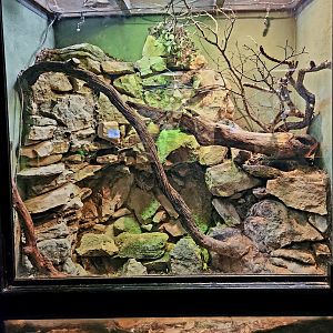 Reptilandia Reptile Lagoon - Angolan Python Exhibit