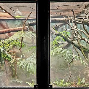 Reptilandia Reptile Lagoon - Boelen's Python Exhibit