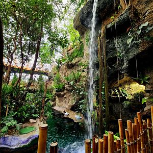 Waterfall Into The River (D.W.A.)