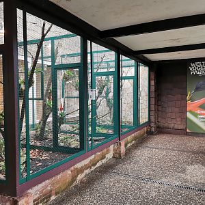Hummingbird aviaries in Pukara
