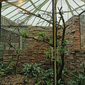 Aviary in the parrot house