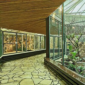 Parrot house/Papagaienhaus