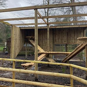 New enclosure, under construction, New Forest Wildlife Park