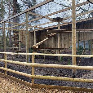 New enclosure, under construction, New Forest Wildlife Park