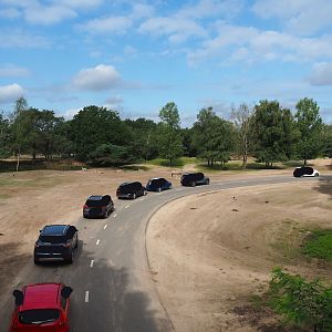 Multi-hectare savanna drive through-exhibit seen from walking safari, 2023-08-15