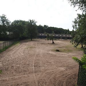 Multi-hectare savanna exhibit separation paddock, 2023-08-15