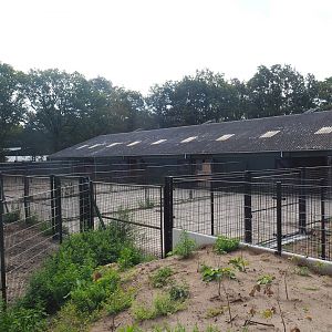 Savanna barn and hardstand holding paddocks, 2023-08-15