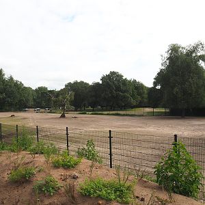 Multi-hectare savanna exhibit separation paddock, 2023-08-15