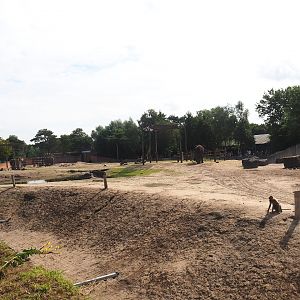 Original African bush elephant and Hamadryas baboon exhibit, now housing non-breeding elephant herd, 2023-08-15