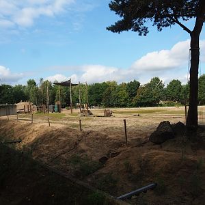 Original African bush elephant and Hamadryas baboon exhibit, now housing non-breeding elephant herd, 2023-08-15