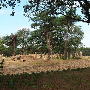 New African bush elephant valley, 2023-08-15