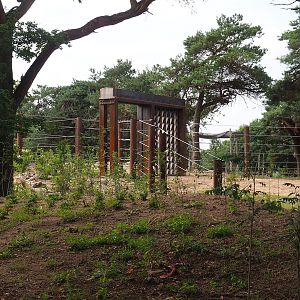 Elephant access gate to new African bush elephant valley, 2023-08-15