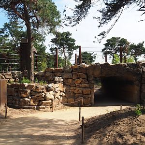 Visitor tunnel underneath elephant access to new African bush elephant valley, 2023-08-15