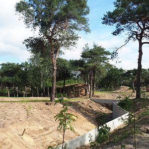 New African bush elephant valley, 2023-08-15