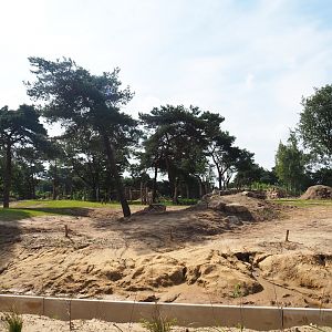 New African bush elephant valley, 2023-08-15