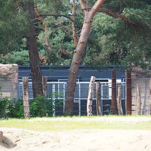 Holding area and building for African elephant valley antelopes, 2023-08-15
