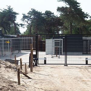 Holding area and buildings for African elephant valley antelopes and spotted hyenas, 2023-08-15