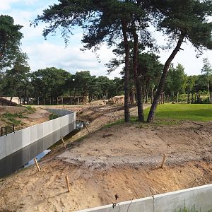 New African bush elephant valley and part of new Spotted hyena exhibit, 2023-08-15