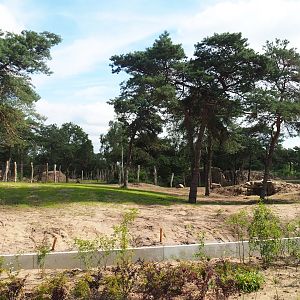 New African bush elephant valley, 2023-08-15