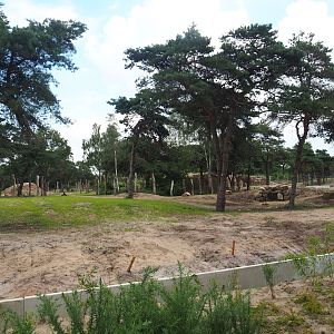 New African bush elephant valley, 2023-08-15