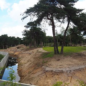 New African bush elephant valley, 2023-08-15