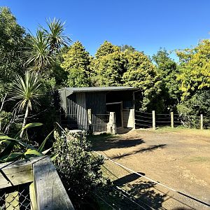Rhino Night House (Top Paddock)