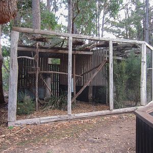 Kookaburra aviary