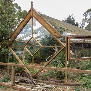 Spotted-tail Quoll exhibit