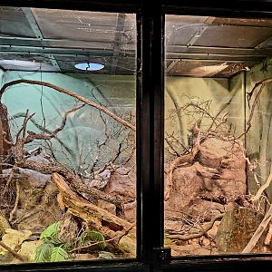 Reptilandia Reptile Lagoon - Pantanal Exhibit