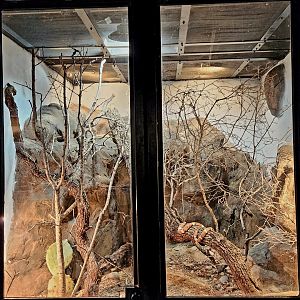 Reptilandia Reptile Lagoon - West Texas Exhibit