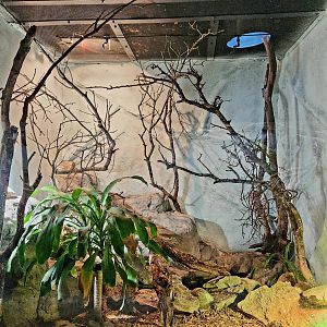 Reptilandia Reptile Lagoon - Tenerife Lizard Exhibit