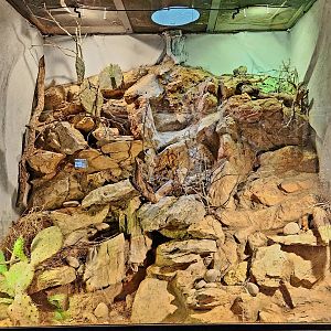 Reptilandia Reptile Lagoon - South Texas Exhibit