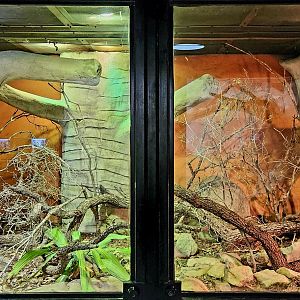 Reptilandia Reptile Lagoon - Ifaty Spiny Forest Exhibit