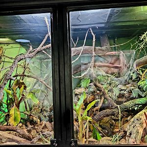 Reptilandia Reptile Lagoon - Sulawesi Exhibit