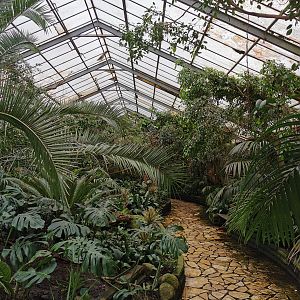 Paradieshalle - Free-flight hall