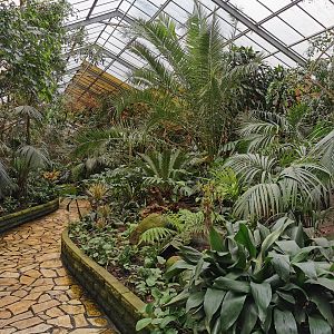 Paradieshalle - Free-flight hall