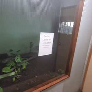 Exhibit for future reptile house inhabitant