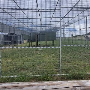 Australian bird Aviary