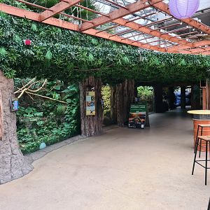 Oceanium - Caribbean enclosures