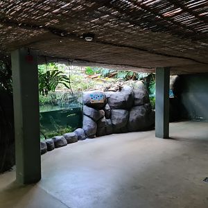 Oceanium - Amazon tanks