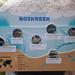 Oceanium - Forest creek aquarium signage