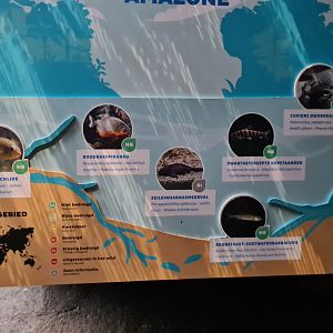 Oceanium - Amazon aquarium signage